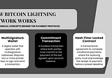 How does the Bitcoin Lightning Network work technically?