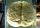 Your Brain is Trying to Protect You — Even When You Don’t Need It To.