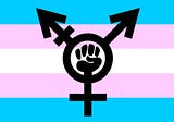 Refuting Transphobic Myths