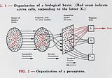 Neural network and it’s related terms