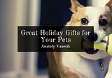 Great Holiday Gifts for Your Pets