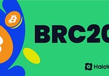 Will BRC-20 Become The Wealth Code of The Crypto Industry in The Long Term, or Is It a Passing Fad?