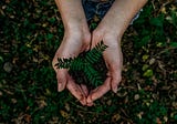 Five Reasons To Be Optimistic About Our Planet’s Future