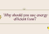 Why Should You Use Energy-Efficient Fans?