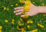 Plants and Herbal Teas that Lower High Cholesterol and Help Improve Liver Health