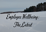 The Next Leap: Life Planning as a Key to Employee Wellbeing