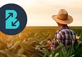 How to increase rewards and minimize risk while yield farming