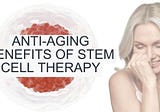 Unlock the Anti-Aging Benefits of Mesenchymal Stem Cell Therapy