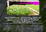 Tackling Arid Land and Increasing Food Self-Sufficiency in the UAE with Smart Farming