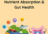 Nutrient Absorption & Gut Health