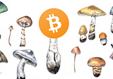Bitcoin is a Decentralized Organism (Mycelium) — Part 1 / 3