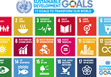 CS/R — ESG 11 What are the SDGs? and why should businesses care about them?