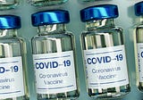 Disinformation, Misinformation, and the Anti-Vax Campaign