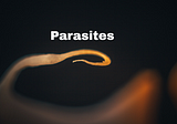 Recipe To Get Rid Of Parasites