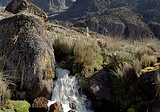 Small waterfalls on the way to the top of Mount Kenya