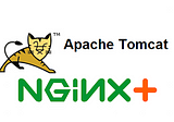 Nginx Reverse Proxy