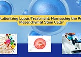 “Revolutionizing Lupus Treatment: Harnessing the Power of Mesenchymal Stem Cells”