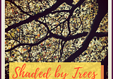 The Shade of Trees