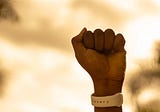 I Support Reparations and Protections Against Reparations Theft