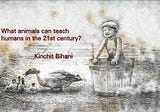 The question animals are asking humanity