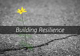 Building resilience-focused organizations