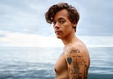 7 Cool Harry Styles Facts You Probably Didn’t Know Until Reading This Post