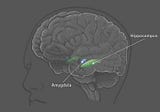 Brain Science: Rating Consciousness, Intelligence, LLMs | Psychiatry