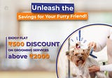 Unleash the savings for your furry friend