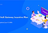 ViteX Gateway Incentive Plan