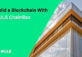 Build a Customized blockchain NULS ChainBox