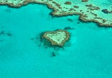 Using Technology to Protect the Great Barrier Reef