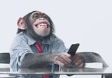 A chimpanzee can beat 700 Warren Buffet’s, why can’t you?