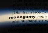 Radical Monogamy