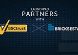 Bricksestate Partnered with BSCTRust to Rocket Our IDO