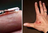 RFID Chip Technology and it’s Future Explained