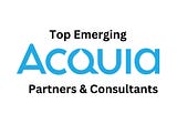 Top Acquia Partners & Consultants-2024