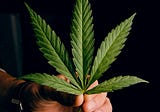 New York’s First Legal Dispensary is Open: What That Means for CBD Retailers