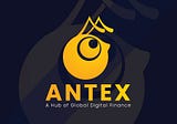 AntEx - A Decentralized Multi-chain Token Management Platform
