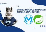 Spring Module Integration In a Mule Application