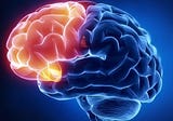 Machine Learning of Human Brain