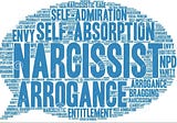 Narcissists Do Not Really Love You: A Roadmap to Discovering ACT (Asinine Character Traits)
