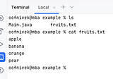 Java Read/Write/Append File