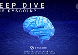 Why Syscoin is the ideal layer 1