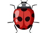 What Is A Bug? Common Types Of Bugs In QA