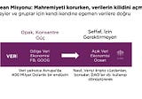 Ocean Ekosistemine Bütünsel Bir Bakış
