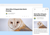 A simpler page for stories on Medium