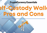 Self Custody Wallet Pros and Cons