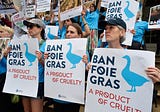Foie Gras Ban Blazes Through City Council, Leaving Other Bills to Collect Dust