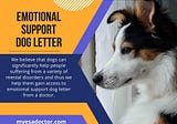 Emotional Support Dog Letter