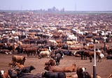 Complexifying the connection between animal agriculture and climate change